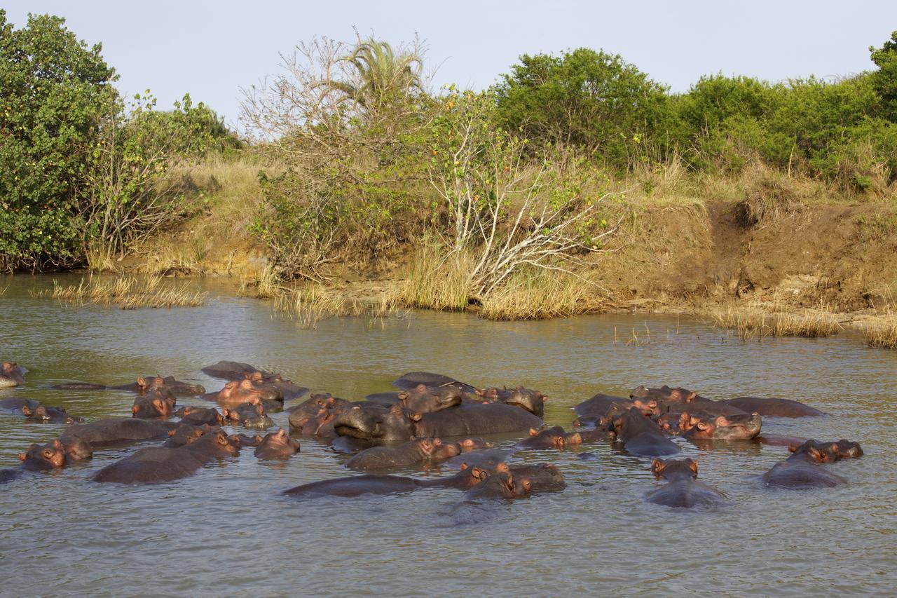 Lodge Afrique Saint Lucia Estuary Kültér fotó